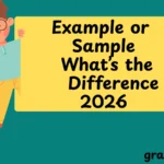 Example or Sample What’s the Real Difference