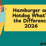 Hamburger or Hotdog What’s the Real Difference