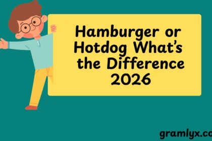 Hamburger or Hotdog What’s the Real Difference