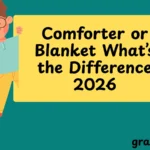 Comforter or Blanket What’s the Difference
