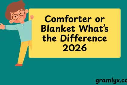 Comforter or Blanket What’s the Difference