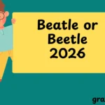 EE vs EA What’s the Difference?