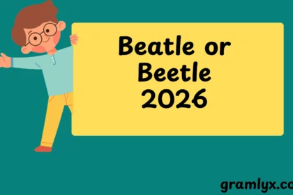 EE vs EA What’s the Difference?