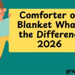 Comforter or Blanket