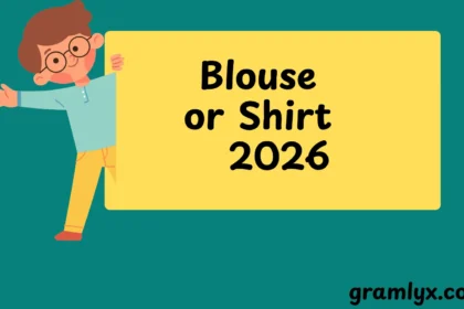 Blouse or Shirt