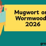 Mugwort or Wormwood