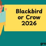 Blackbird or Crow
