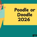 Poodle or Doodle