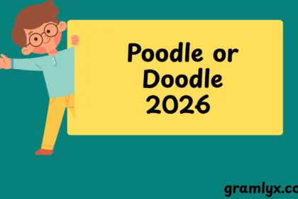 Poodle or Doodle