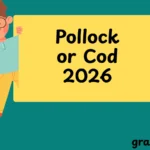 Pollock or Cod