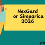 NexGard or Simparica