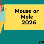 Mouse or Mole