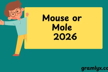 Mouse or Mole