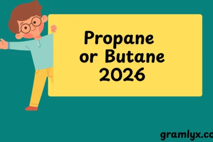 Propane or Butane