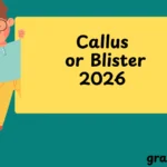 Callus or Blister