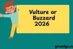 Vulture or Buzzard