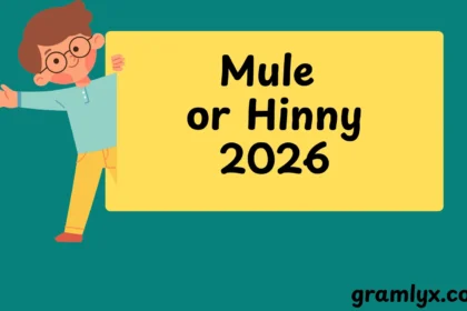 Mule or Hinny