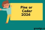 Pine or Cedar